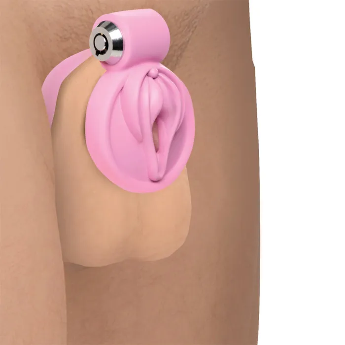 Male Sex Toys XR Brands Master Series Pussification Vulva Chastity Cage